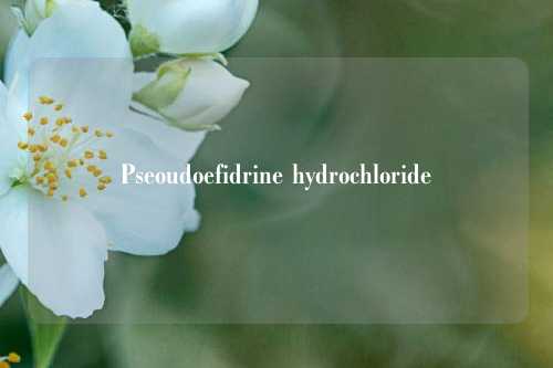 Pseoudoefidrine hydrochloride