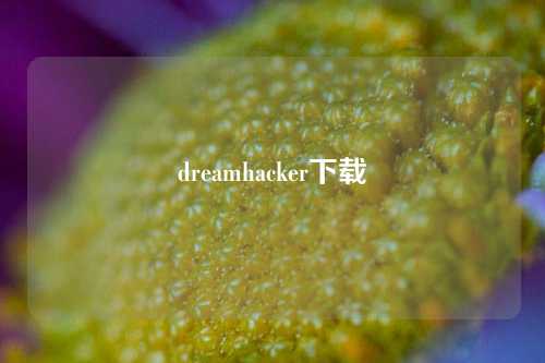 dreamhacker下载