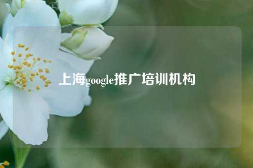 上海google推广培训机构