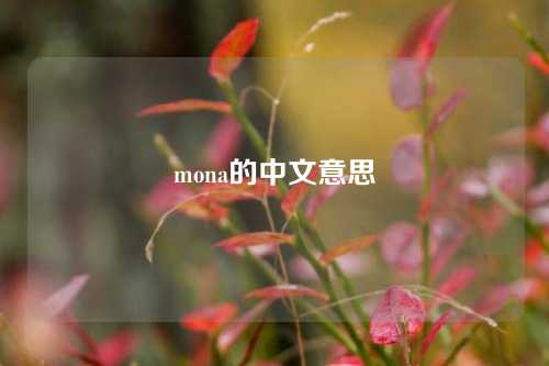 mona的中文意思